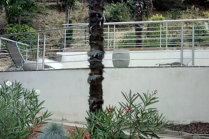 Villa pour 8 personnes, avec balcon et jardin, animaux acceptés à Toulouse - 4