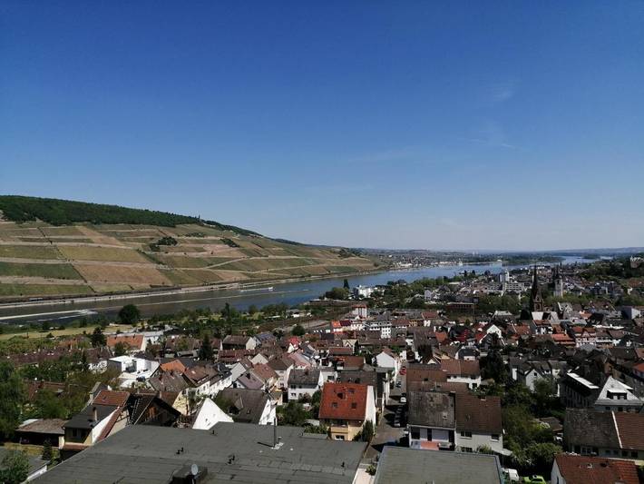 Ferienwohnung für 7 Personen, mit Balkon und Terrasse sowie Pool und Sauna in Bingen am Rhein