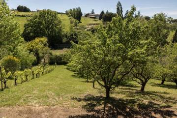 Chambre D’hôte pour 4 Personnes dans Vieille-Toulouse, Haute-Garonne, Photo 3