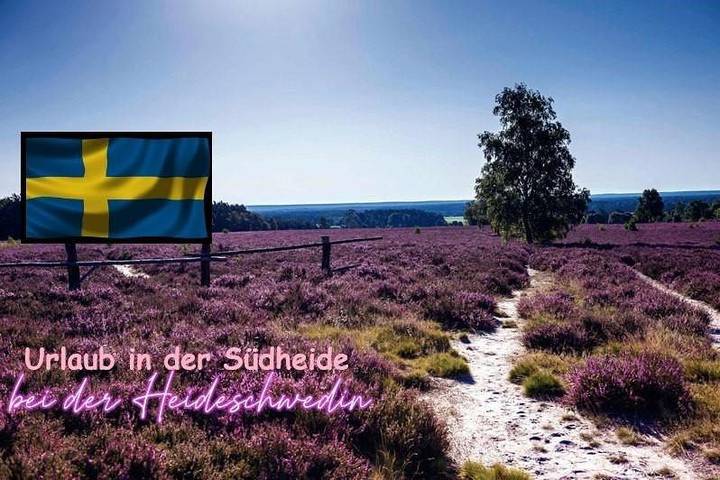 Ferienwohnung für 6 Personen, mit Garten in Eschede - 2