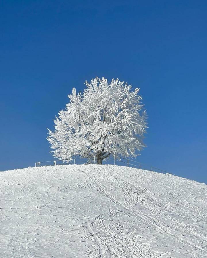 Ganze Wohnung, Am Kohlenberg in Waldburg, Region Bodensee-Oberschwaben