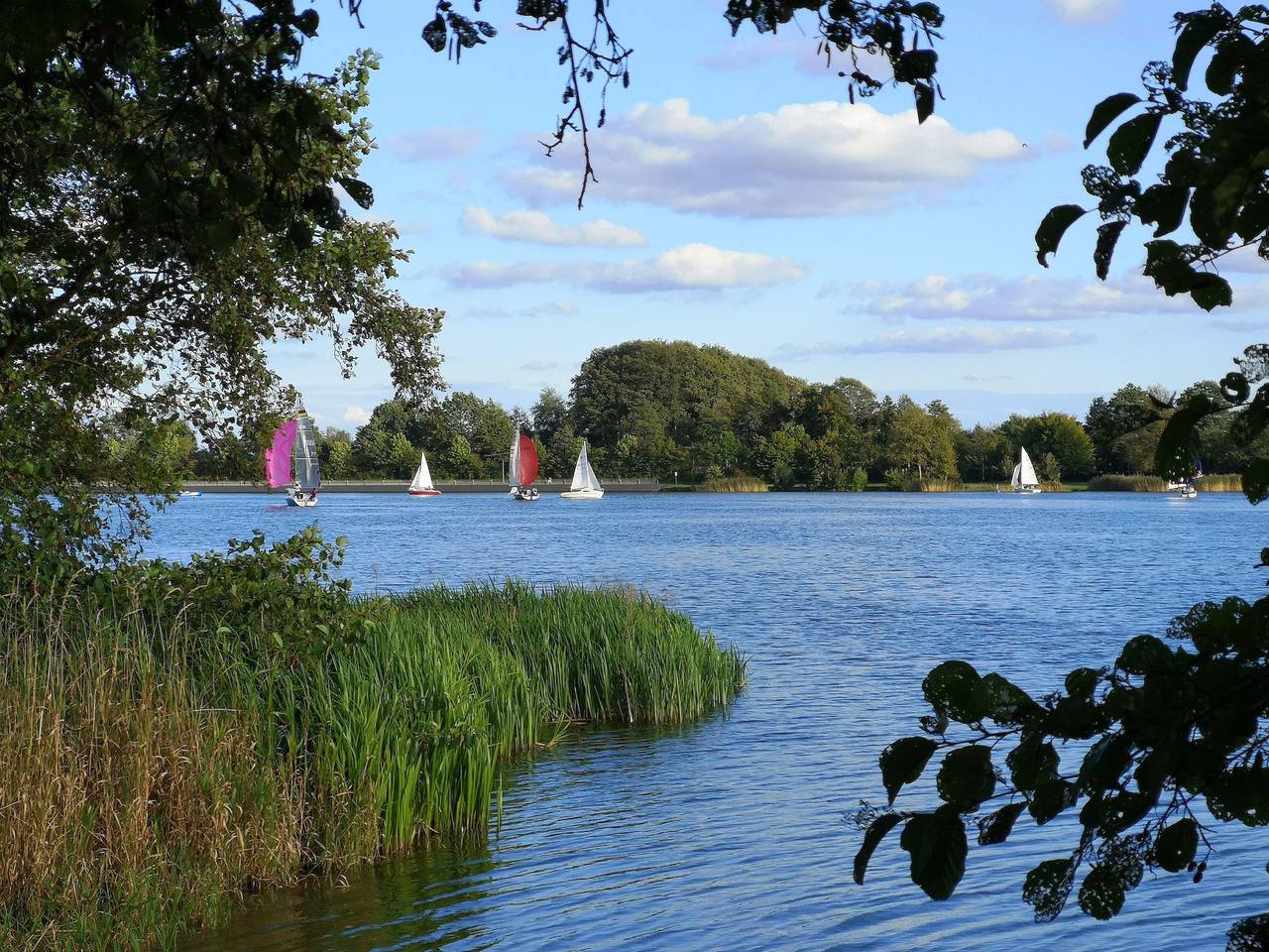 Wanderhütte in Losheim am See, Saar-Nahe-Bergland