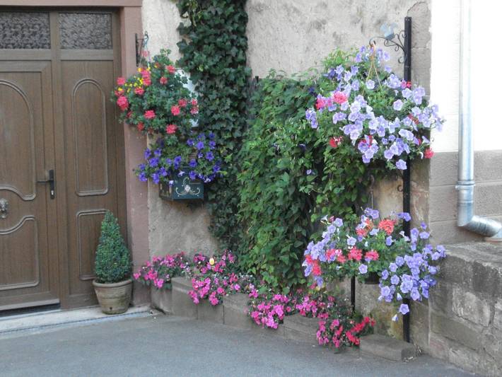 Gîte pour 5 personnes, avec terrasse, animaux acceptés dans Sarrebourg - 2