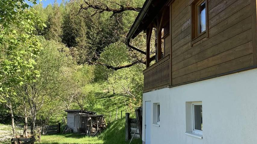 Ferienhaus für 8 Personen, mit Garten, mit Haustier in der Steiermark - 4