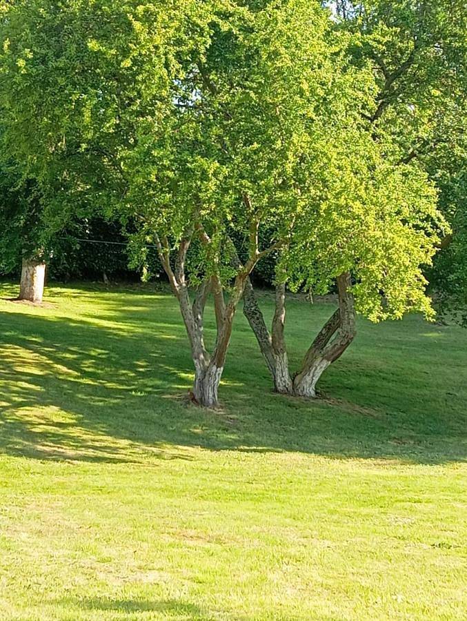 Location de vacances pour 3 personnes, avec terrasse et jardin à Quesnoy-le-Montant - 4