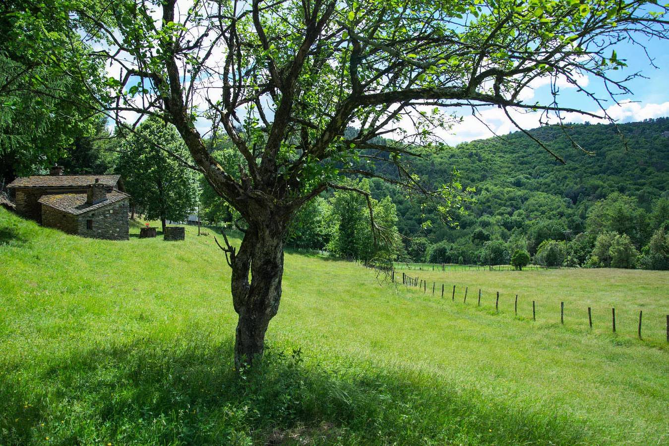 Gîte de France 2 personnes in Saint-Germain-de-Calberte, Parc national des Cévennes
