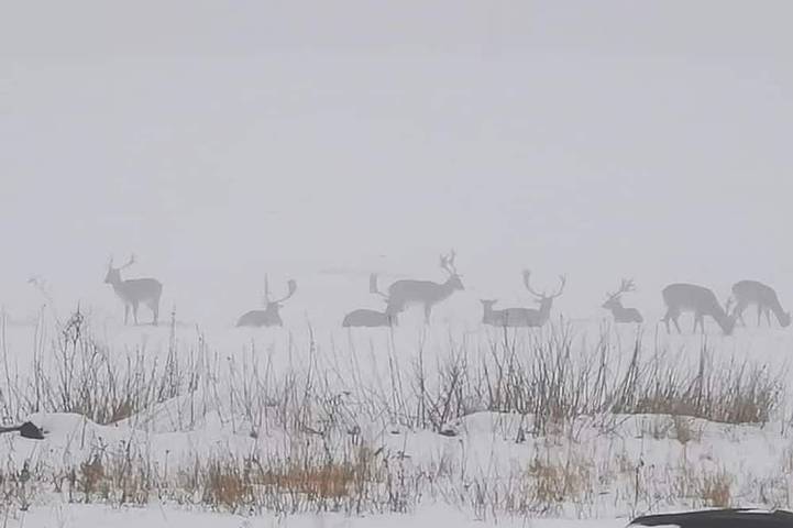 Ferienwohnung für 6 Personen - 1