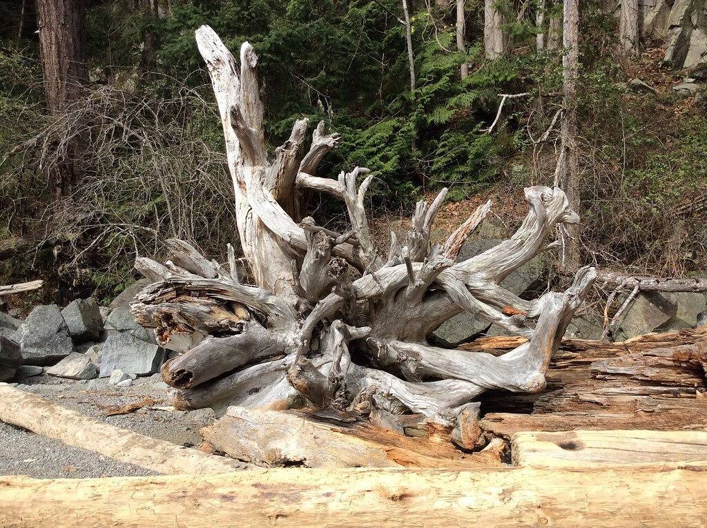 Das Nebengebäude - Familienspaß in Sargeant Bay in Sechelt, Sunshine Coast Regional District