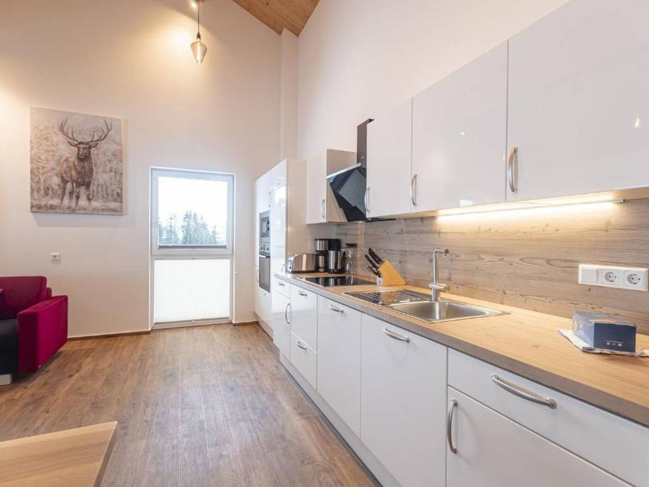 Ganze Ferienwohnung, Appartementhaus zum Moserlhof - Appartement Grimmingblick in Haus, Schladming-Dachstein