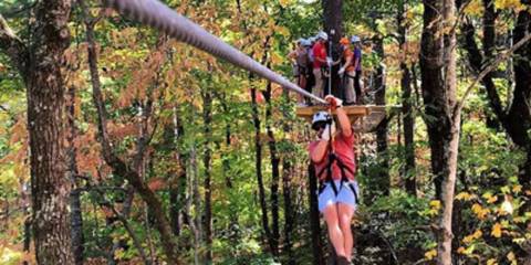 Vacation Apartment for 4 Guests in Lake Guntersville, Alabama, Picture 4