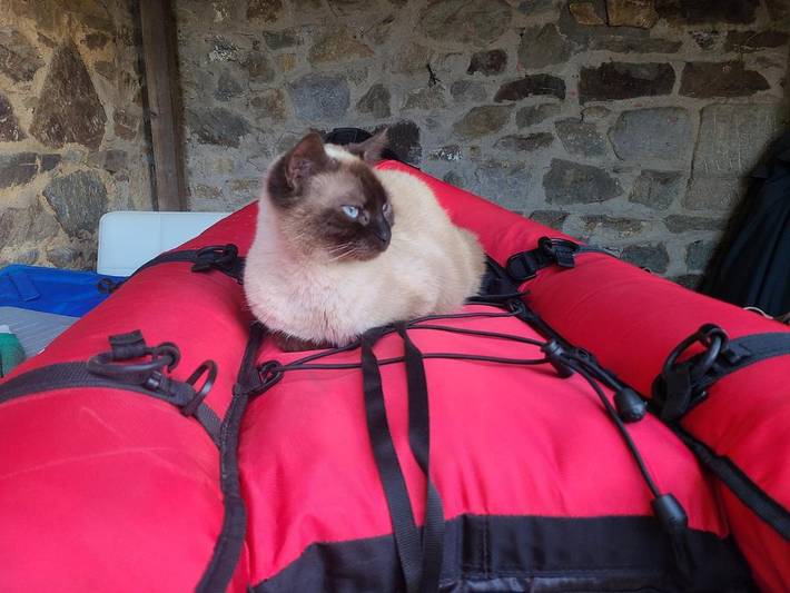 Chambre d’hôte pour 3 personnes, avec jardin et vue dans Lamballe-Armor - 4