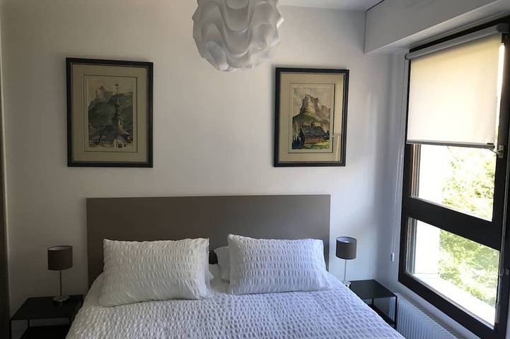 Appartement entier, Evian Centre Ville - Vue Lac in Évian-les-Bains, Région de Thonon-les-Bains