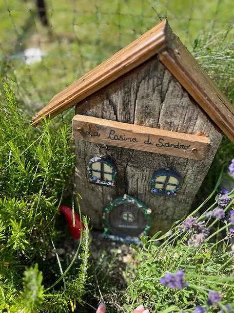 Albergo a gestione familiare per 3 persone, con giardino e sauna nonché panorama - 1