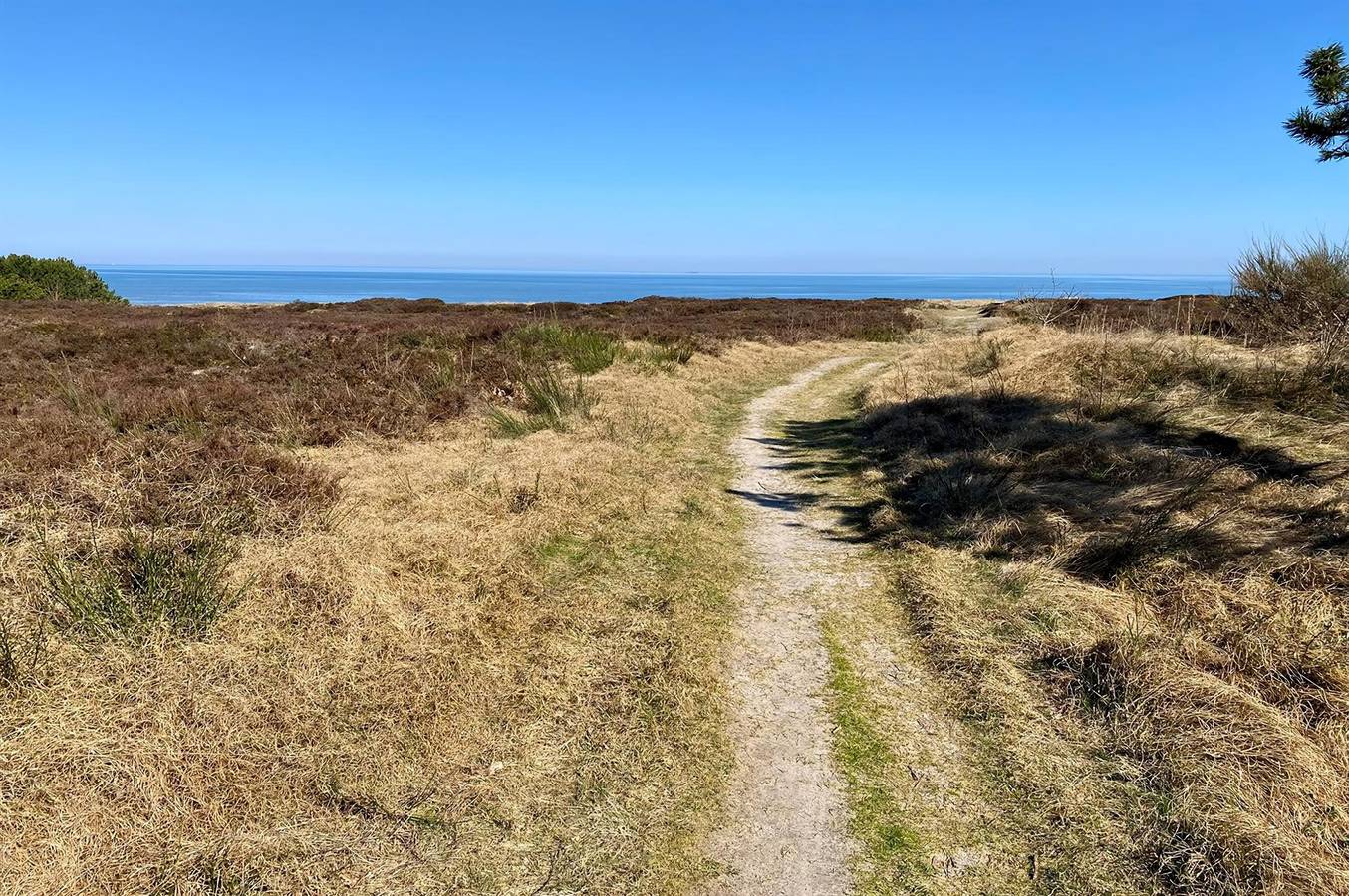 Home in Læsø with sauna in Vesterø, Læsø