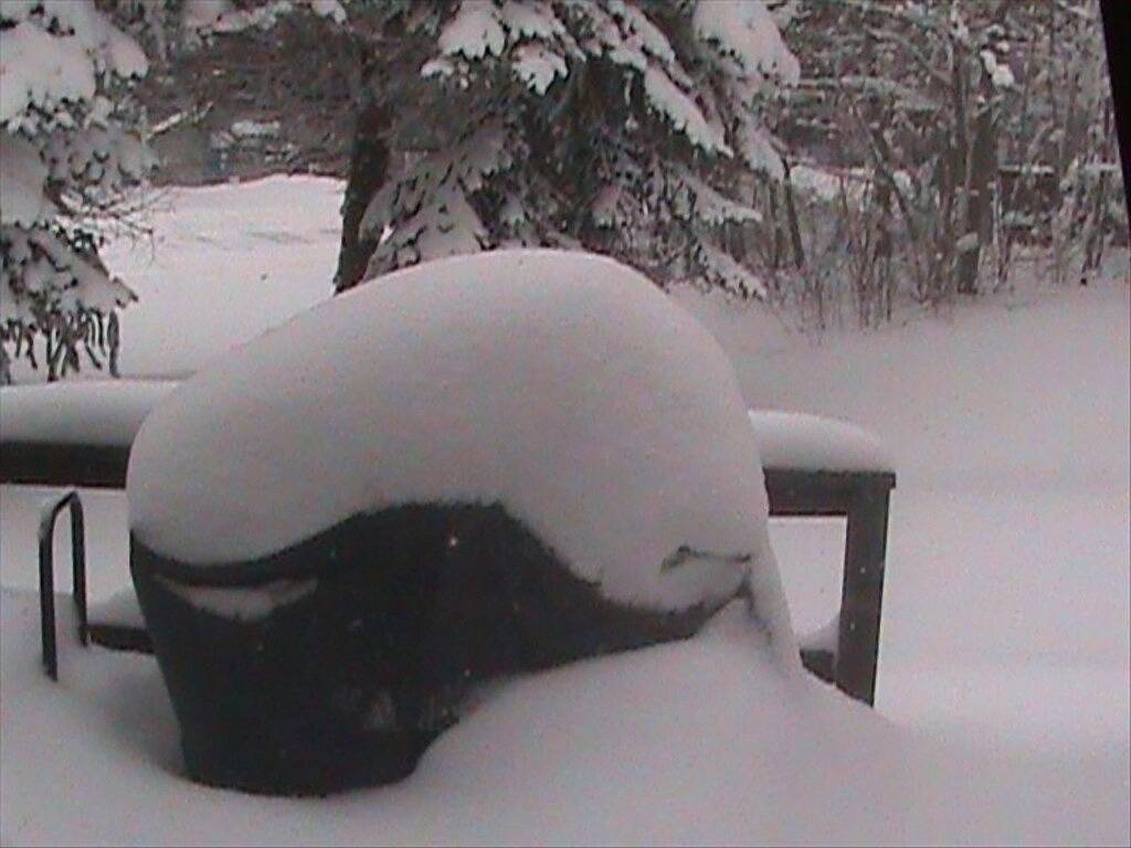 Schöne 3Br / 3Ba Townhome \"Winter Wonderland\" Swiss Mountain in Seven Springs, Pennsylvania