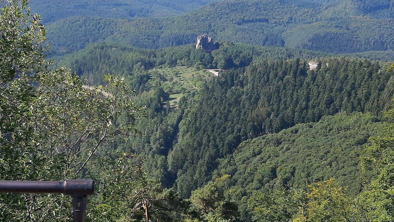 Ganze Ferienwohnung, Ferienwohnung für 2 Personen (39 m²) in Ludwigswinkel in Ludwigswinkel, Pfalz