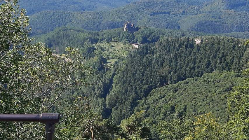 Ferienwohnung für 2 Personen, mit Terrasse im Pfälzer Wald - 2