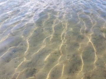 Ferieudlejning til 8 Personer i Marielyst, Lolland-Falster, Billede 4