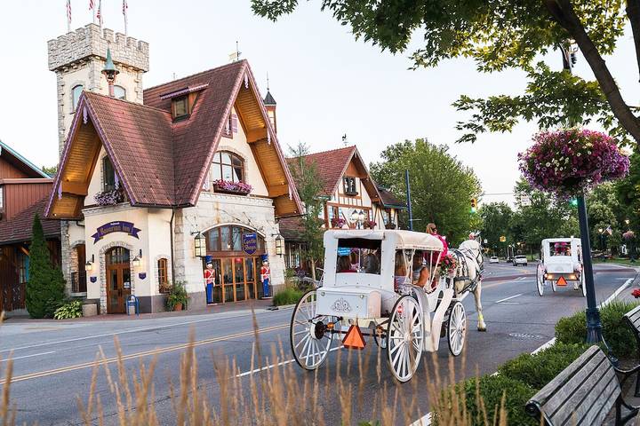 Vacation rental for 12 people, with terrace in Frankenmuth