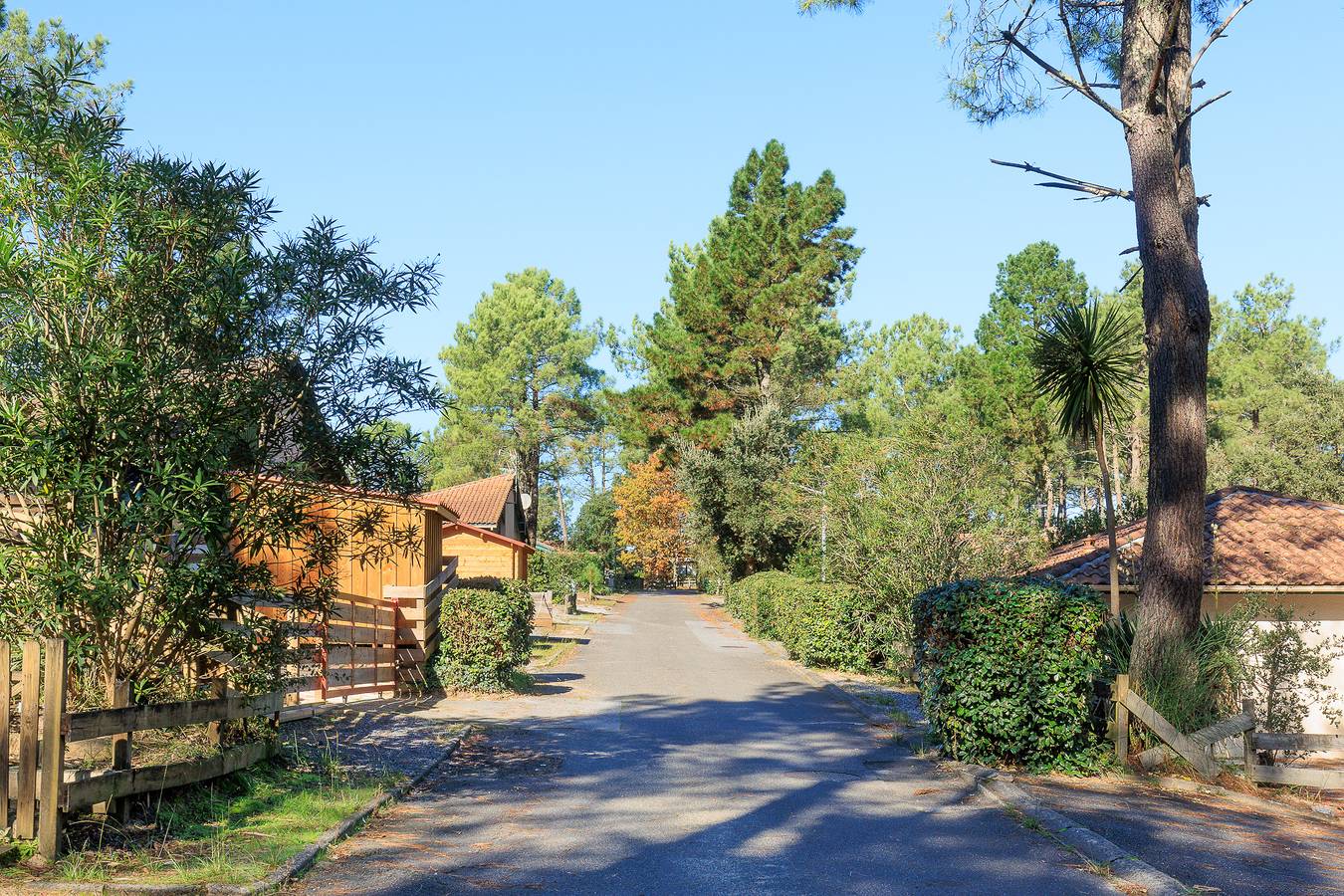 Studio entier, Studio 'Saint Amon' avec piscine partagée, terrasse privée et climatisation in Moliets-et-Maa, Côte d’Argent