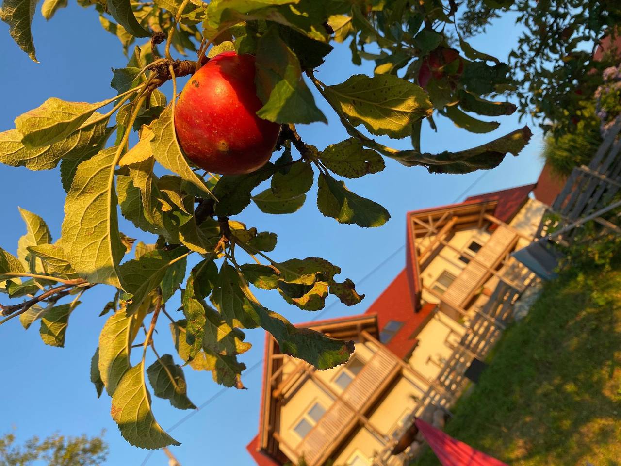 Fugger Alm in Weichselbaum, Südburgenland
