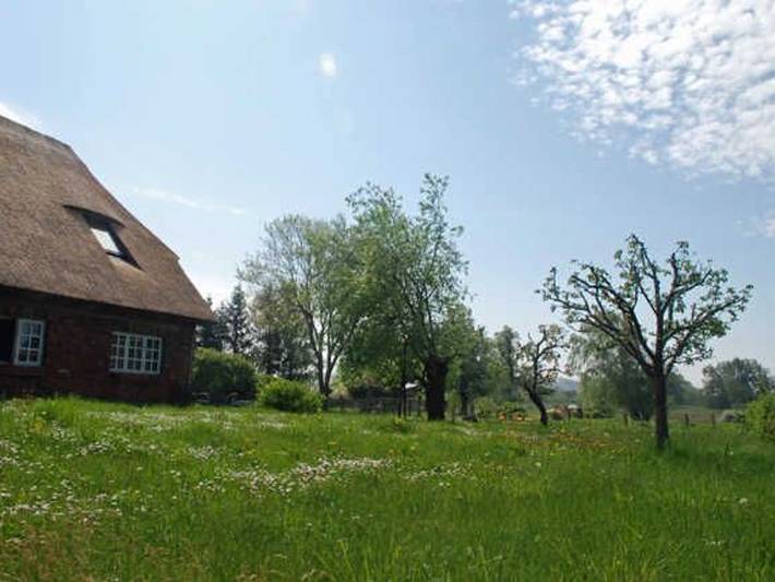 Ferienhaus für 5 Personen, mit Terrasse und Garten, mit Haustier in Groß Zicker - 2