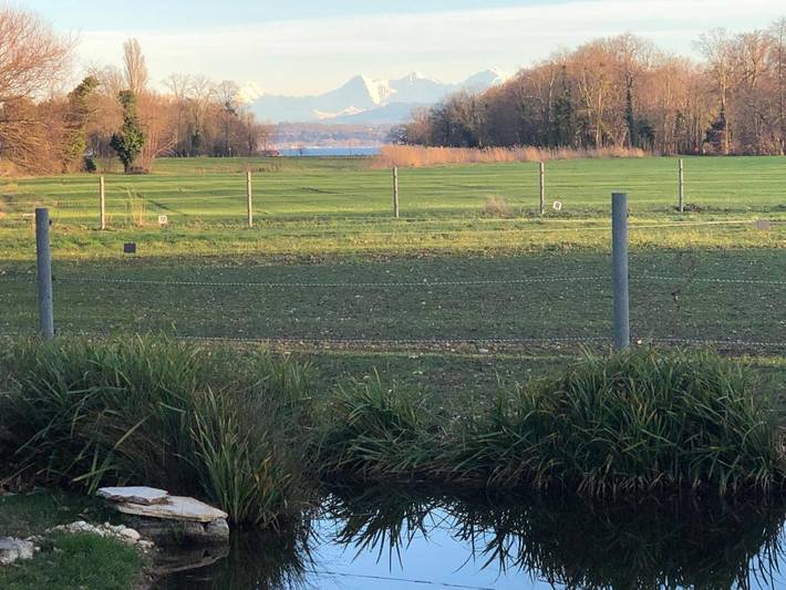 Gîte pour 4 personnes, avec jardin ainsi que vue et vue sur le lac dans Areuse - 4