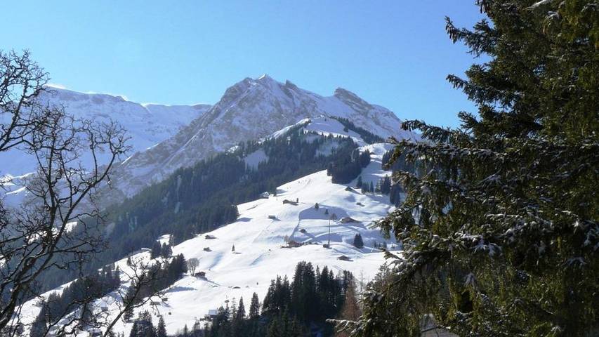 Hütte für 4 Personen, mit Garten in Adelboden - 3