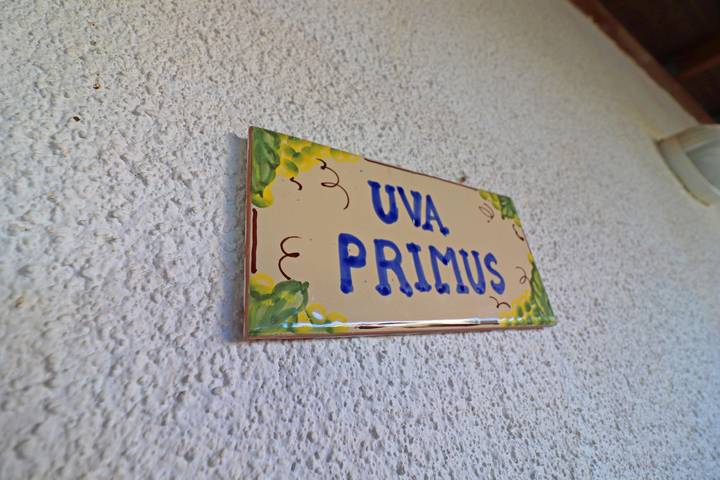 Ferienhaus für 6 Personen, mit Garten, kinderfreundlich in Italien - 3