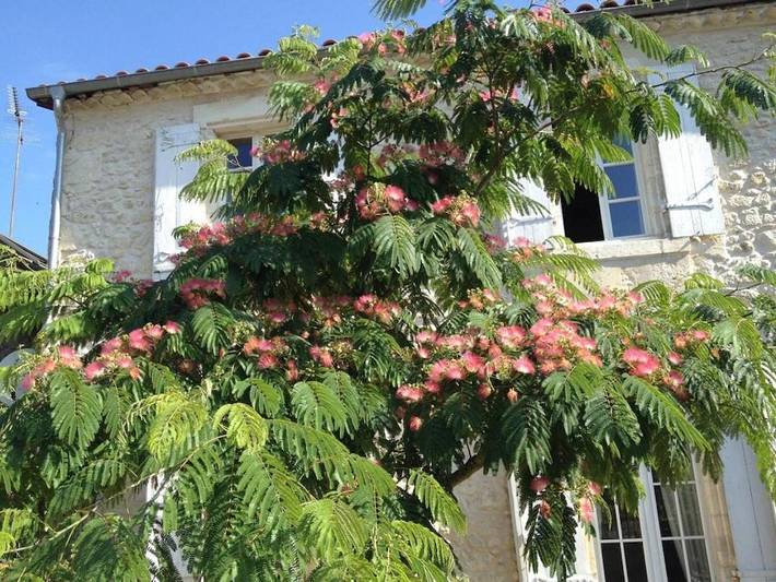 Location de vacances pour 6 personnes, avec terrasse à Moulis-en-Médoc - 2