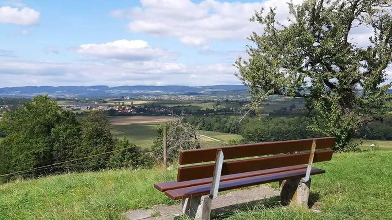 Ganze Ferienwohnung, Ferienwohnung für 4 Personen (50 m²) in Meersburg in Meersburg, Region Bodensee-Oberschwaben