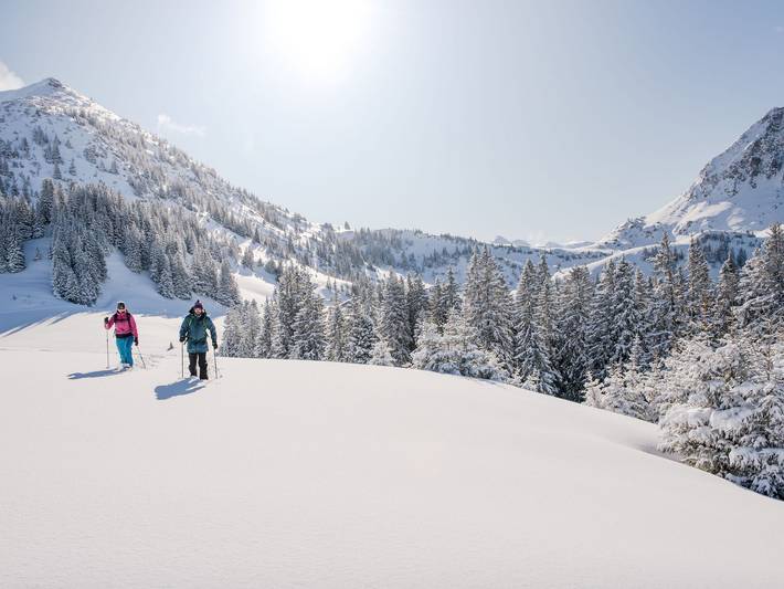 Ferienwohnung für 2 Personen, mit Balkon und Garten sowie Sauna und Ausblick in Tannheimer Tal - 4
