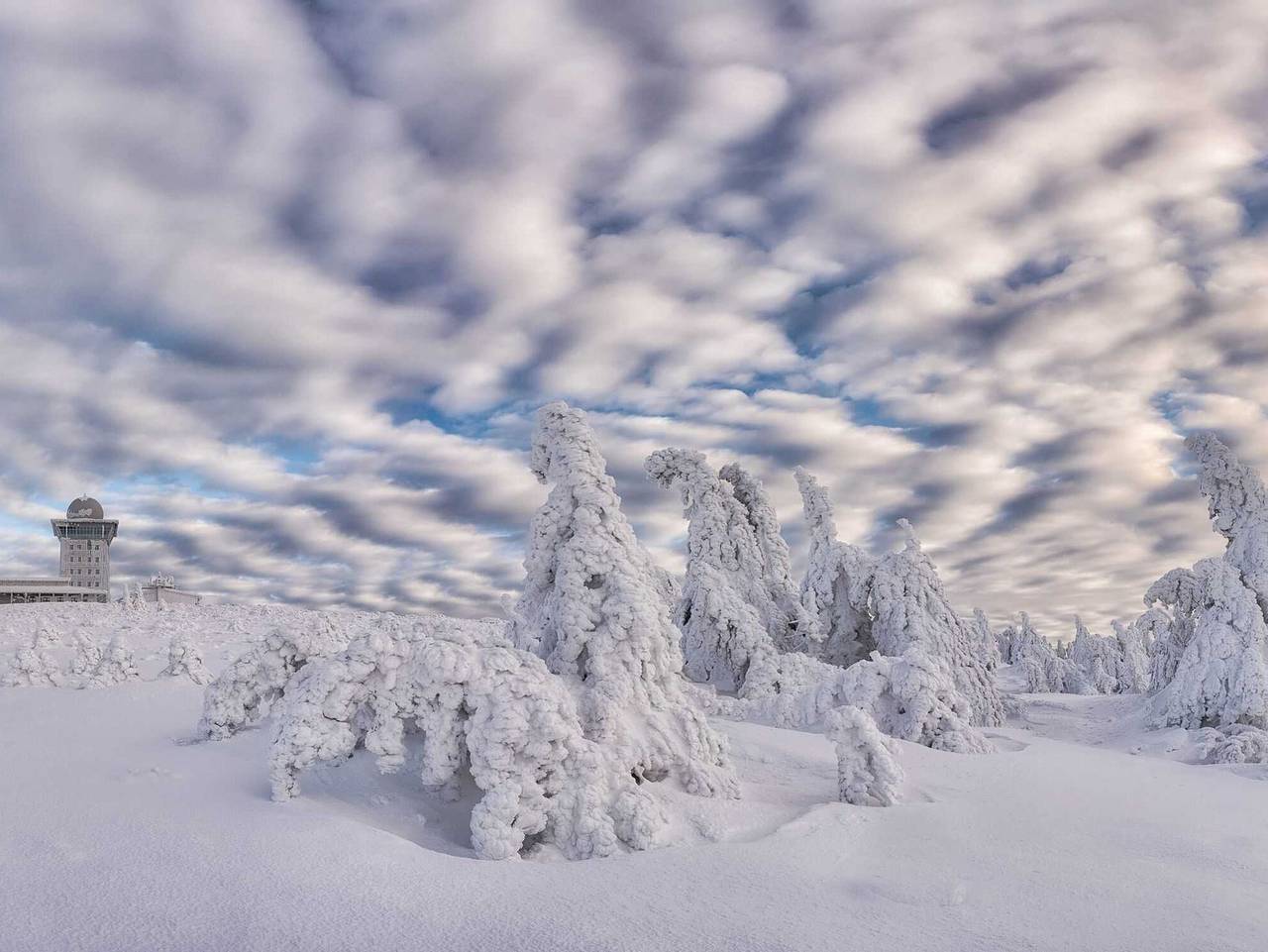 Ganze Ferienwohnung, Ferienwohnung Harz Moni Werner - Ferienwohnung in Wernigerode, Harzvorland