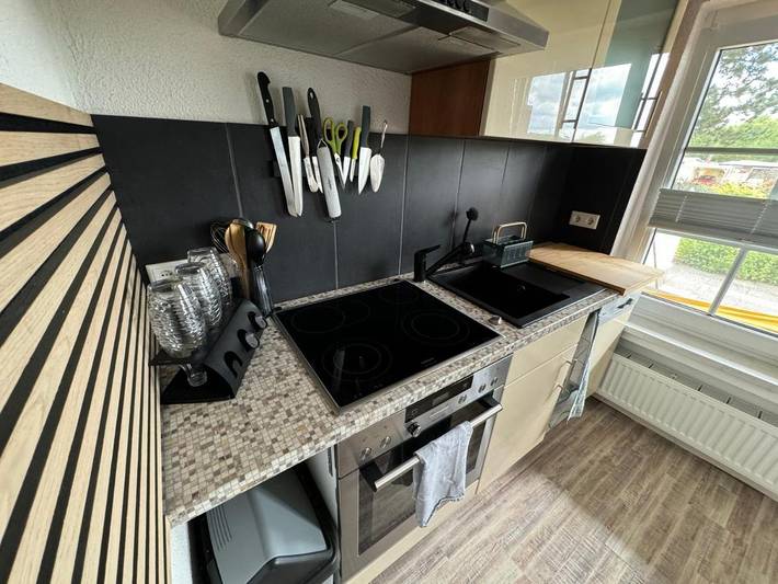 Location de vacances pour 4 personnes, avec jardin à Carlow - 2