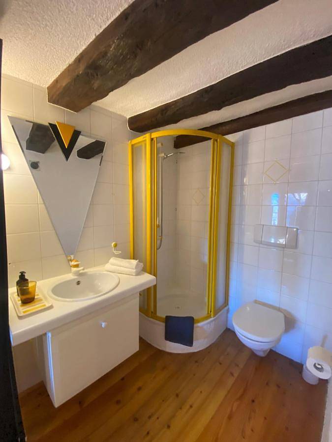 Chambre d’hôte pour 2 personnes, avec Terrasse ainsi que Jardin et Vue à Nendaz - 2