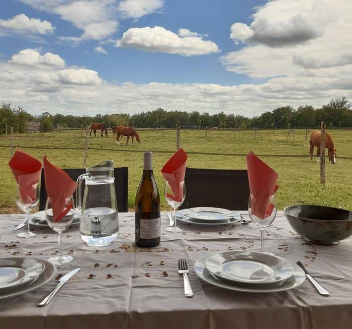 Location de vacances pour 6 personnes, avec jardin ainsi que jacuzzi et terrasse à Parleboscq - 3