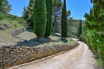 Vacation Rental for 10 Guests in Apt, Parc naturel régional du Luberon, Picture 3
