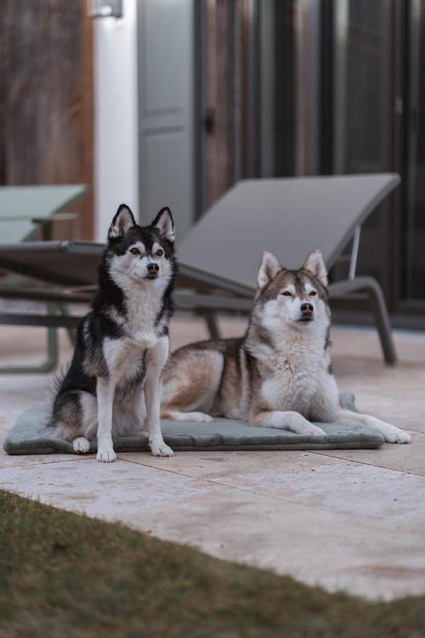 Hütte für 2 Personen, mit Garten und Terrasse, mit Haustier am Tegernsee - 2