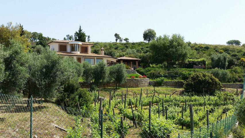 Villa per 8 persone, con Vista oceano e Giardino nonché Panorama nel Lazio