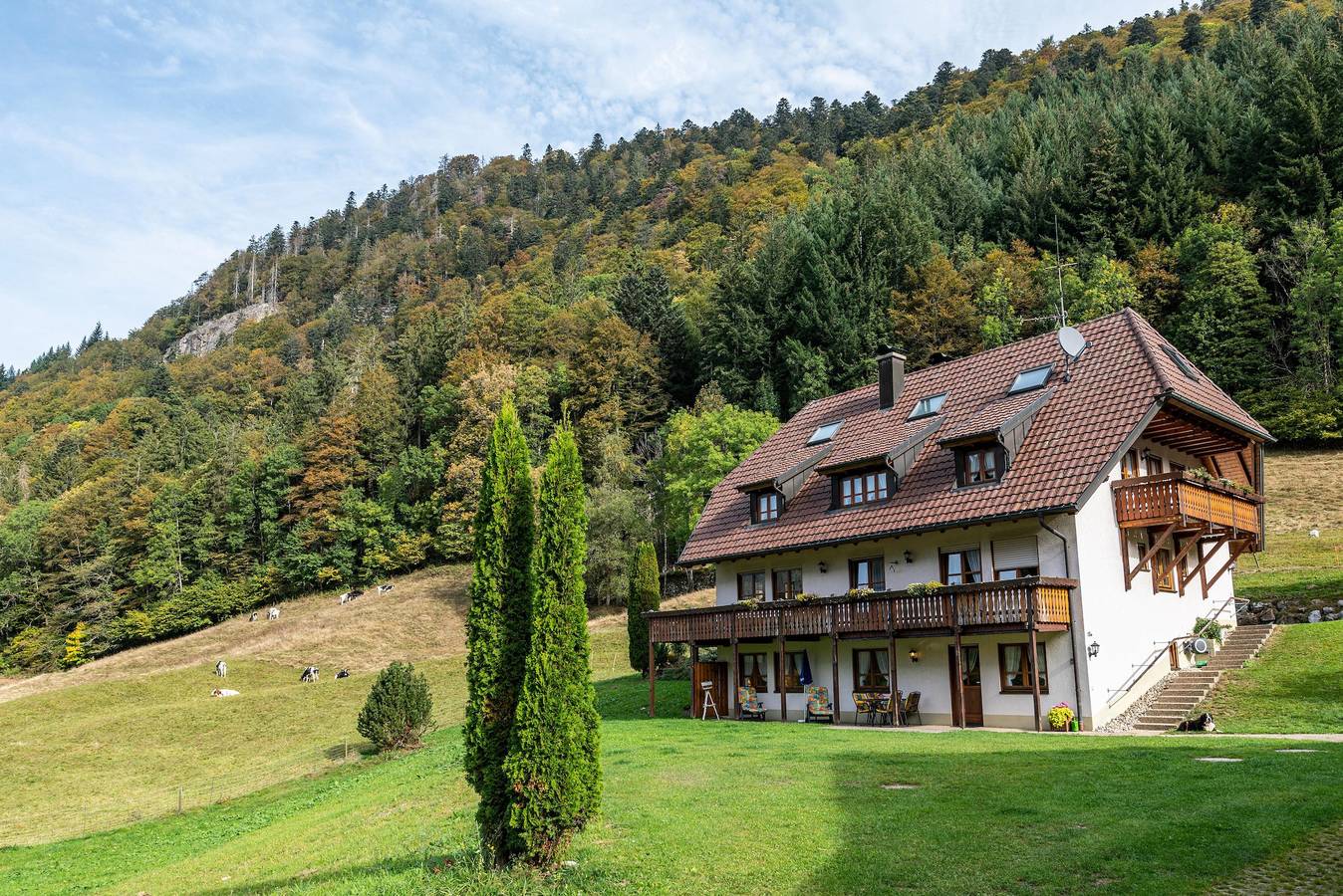 Apartamento inteiro, Ferienwohnung Morgensonne in Oberried, Floresta Negra do Sul