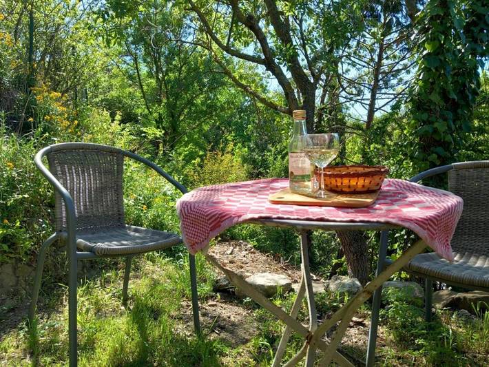Gîte pour 4 personnes, avec vue et jardin, animaux acceptés à Caudiès-de-Fenouillèdes - 4