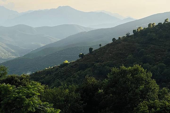Chambre d’hôte pour 6 personnes à Campitello