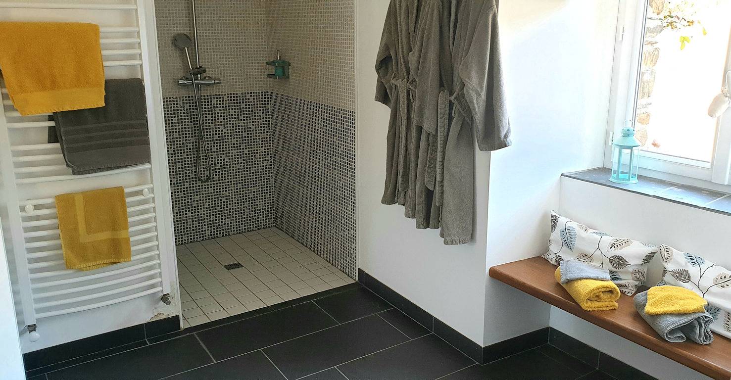 La Forcerie de Châtelais, maison d'hôtes et Spa - Terre d'Ardoise in Châtelais, Segré-en-Anjou-Bleu