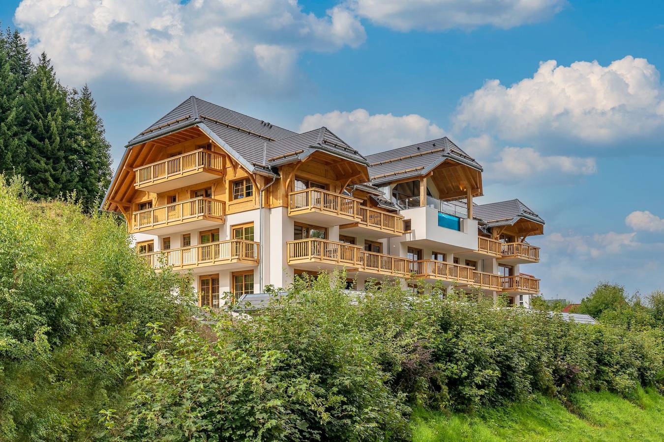 Ganze Ferienwohnung, Schwarzenbach Apartments - Kleine Ferienwohnung, 38qm, 1 Schlafzimmer, 1 Wohn-/Schlafzimmer, max. 2 Personen in Altglashütten (Feldberg), Feldberg