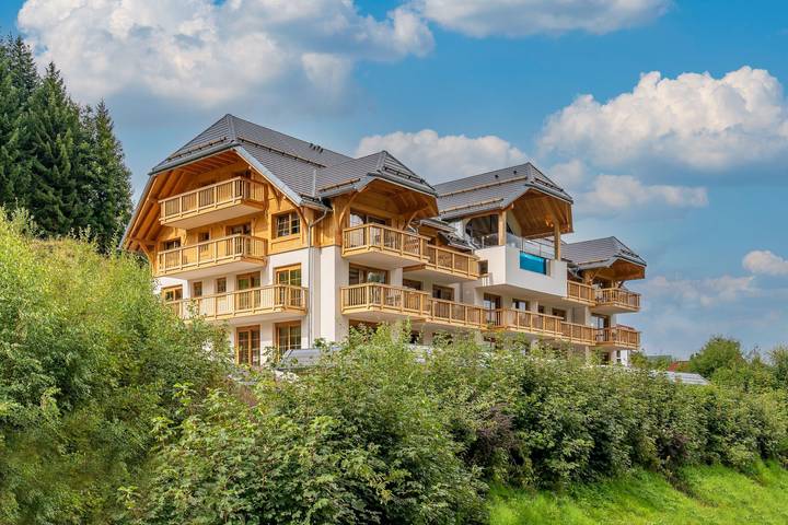 Hütte für 4 Personen, mit Balkon/Terrasse und Sauna in Feldberg - 2