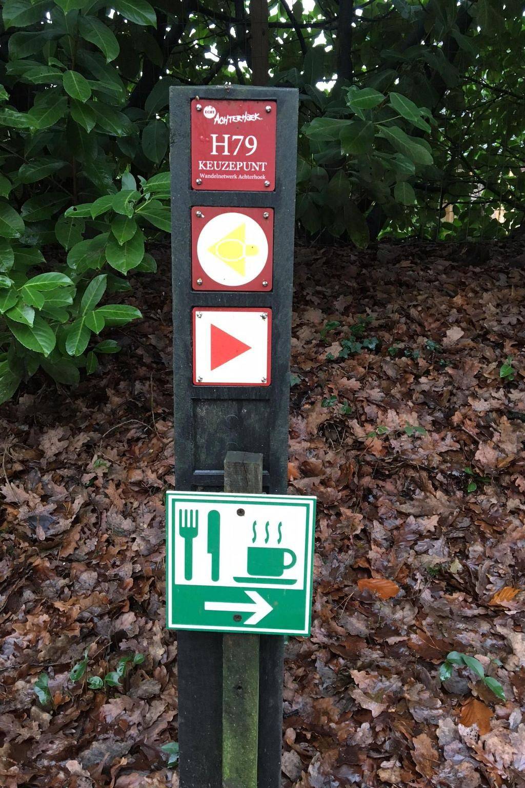 Geräumiges Ferienhaus mitten im Wald in Winterswijk, Achterhoek