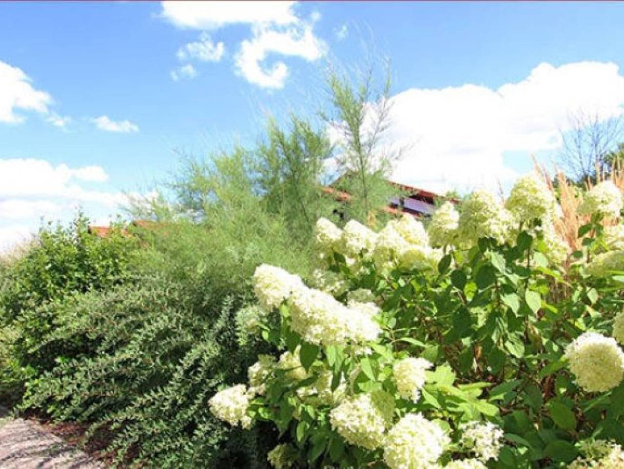 Ferienhaus Godetied - Ferienhaus in Hollern-Twielenfleth, Cuxland