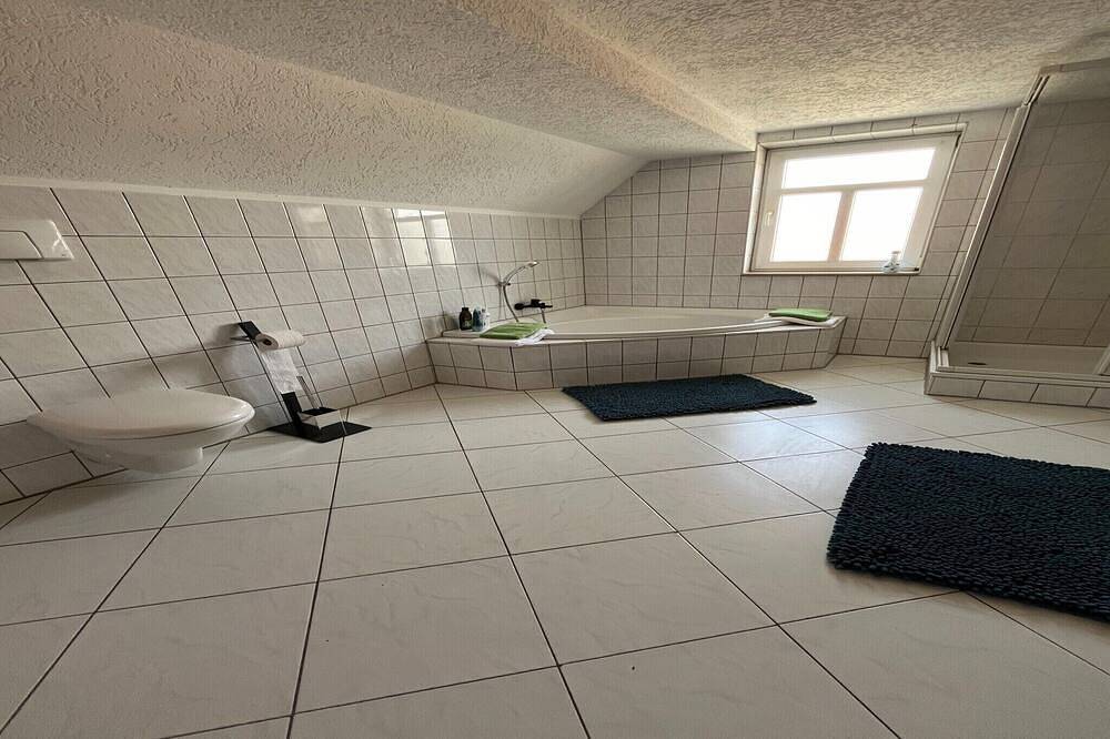 Ganze Wohnung, Sonniges Loft mit Bergblick in Elbingerode, Harzvorland