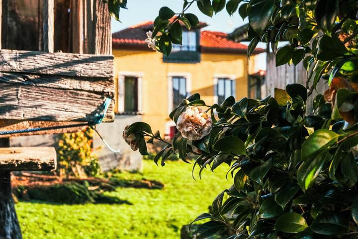 Hôtel pour 3 personnes, avec Terrasse ainsi que Jardin et Vue