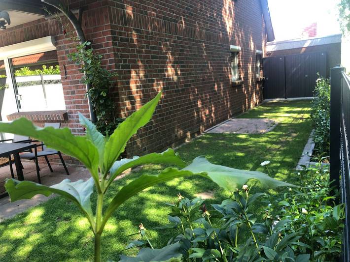 Ferienhaus für 6 Personen, mit Terrasse und Garten, mit Haustier in Carolinensiel - 3